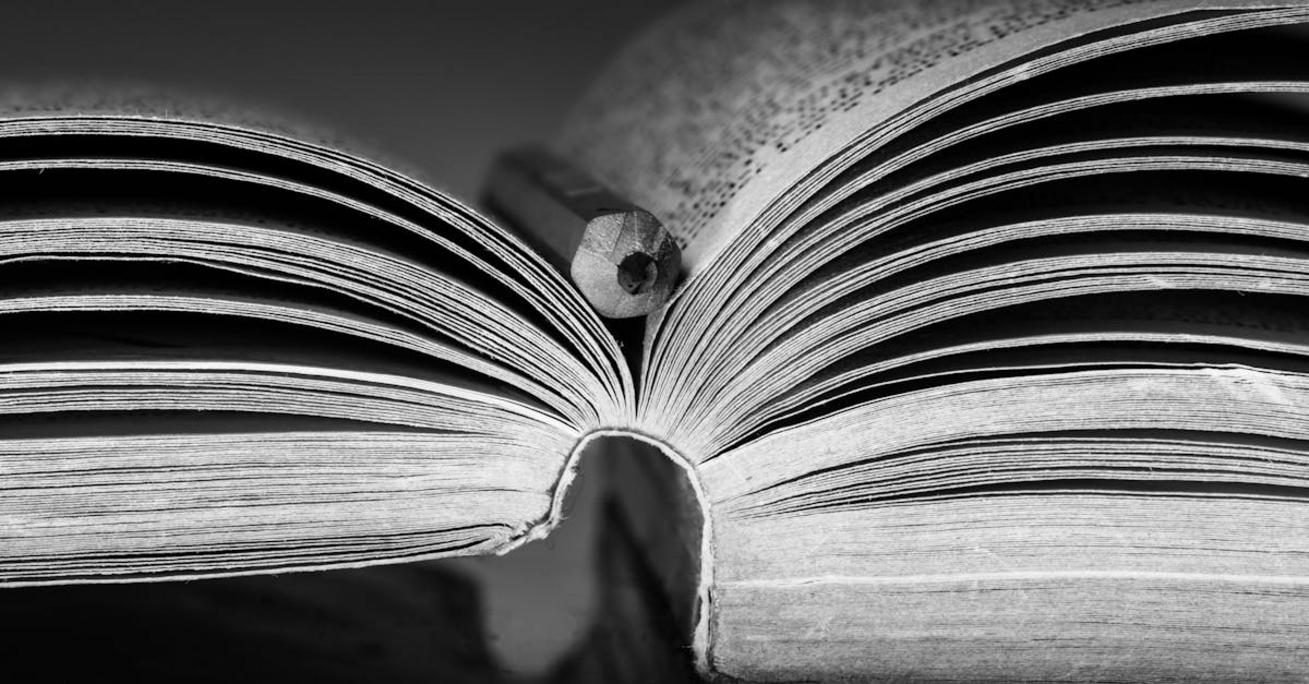 Uniwersytet SWPS: Informacje o Uczelni i Kierunkach Studiów