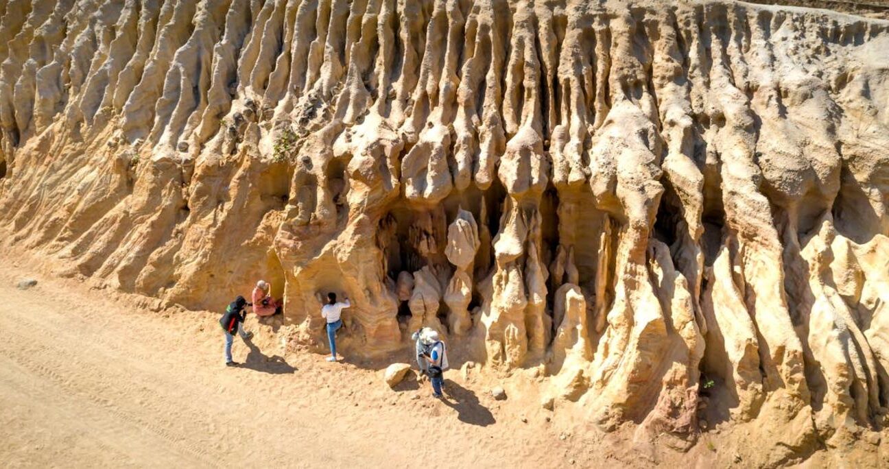Geologiczna nazwa bursztynu i jej znaczenie w badaniach skamieniałości