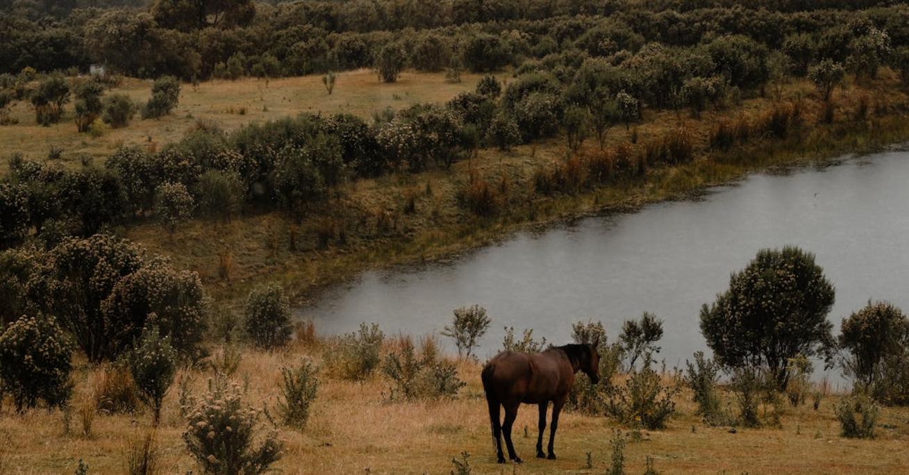 Ziemia i jej rola w ochronie środowiska naturalnego