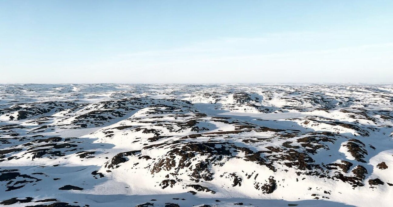 Tundra – charakterystyka unikalnego biomu arktycznego bez drzew